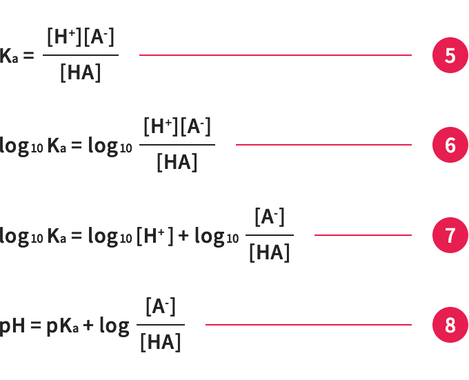 Phと酸解離定数pkaの関係 バッファーの基礎知識 M Hub エムハブ