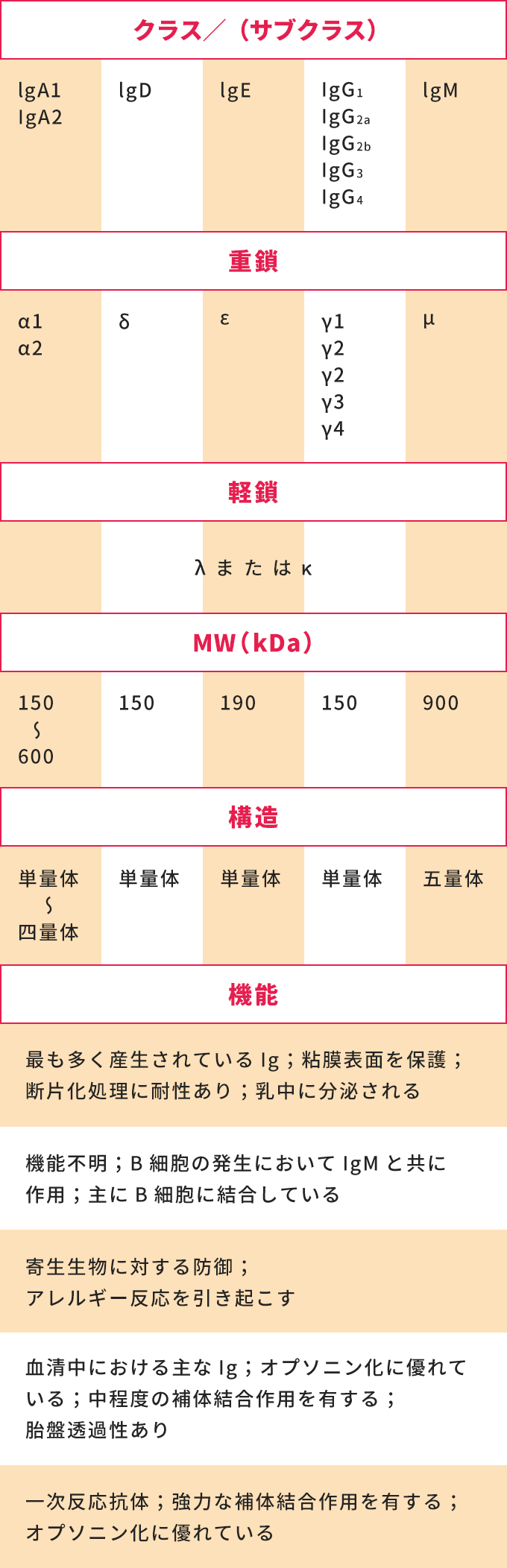 抗体の仕組みと種類を理解しよう M Hub エムハブ