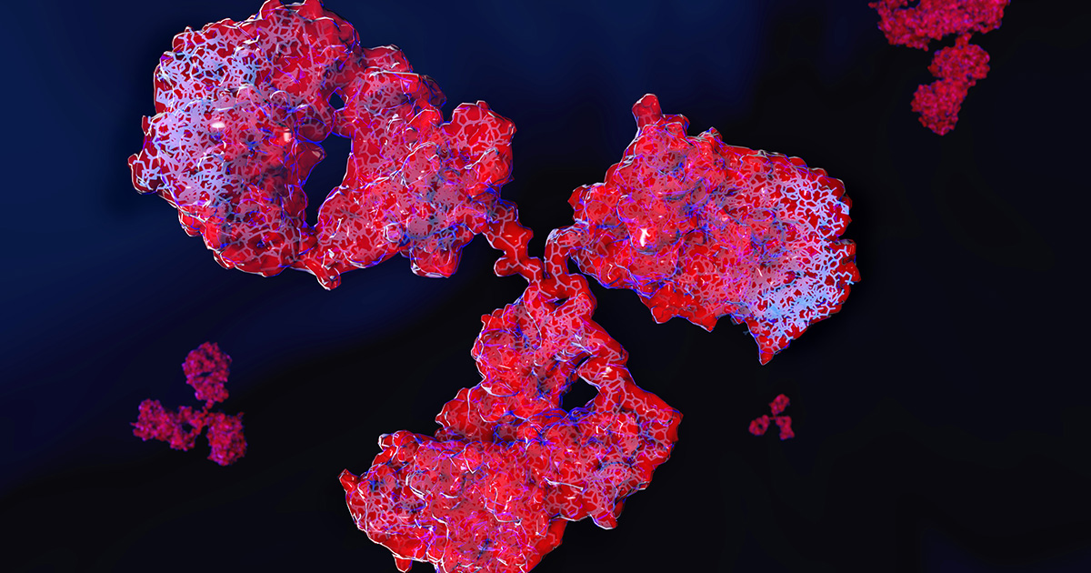 抗体の仕組みと種類を理解しよう M Hub エムハブ