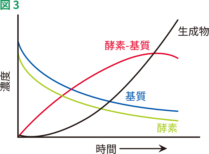 基本を学ぶ 酵素と阻害剤の反応速度論 M Hub エムハブ