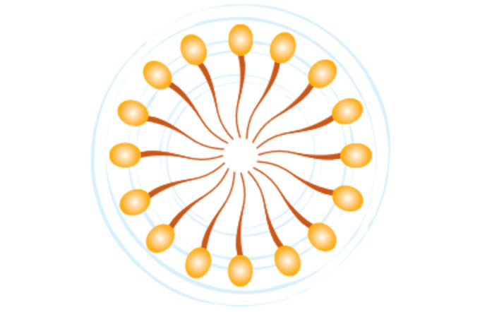 タンパク質実験における界面活性剤の重要性 M Hub エムハブ